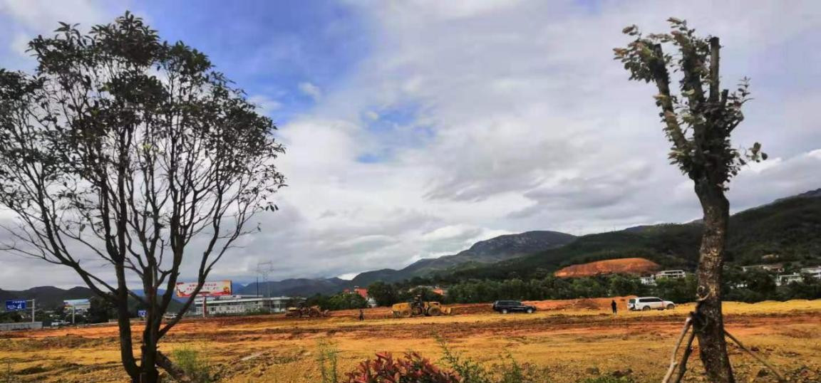 1564727593935086.jpg 1564727593935086.jpg