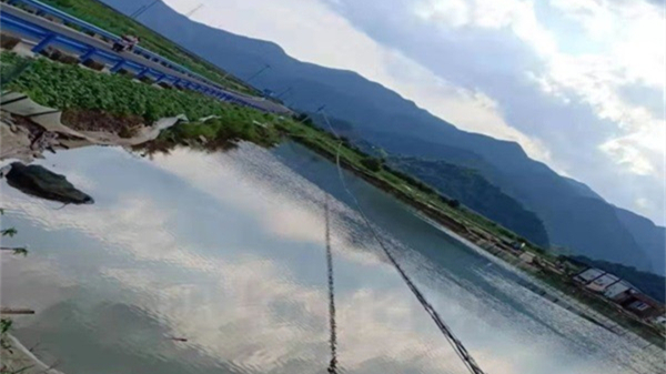 mk网|mk网|欣网通信