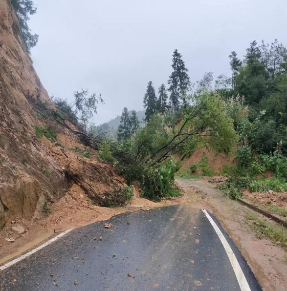 1737709100793634.png 图片关键词