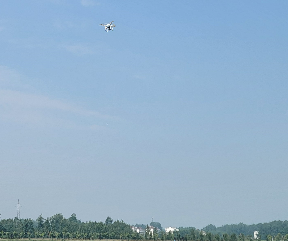 mk网|mk网|欣网通信 mk网|mk网|欣网通信